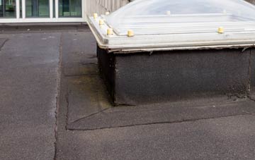 disadvantages of East Mains Of Burnside flat roofs