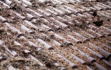 East Mains Of Burnside roof cleaning companies